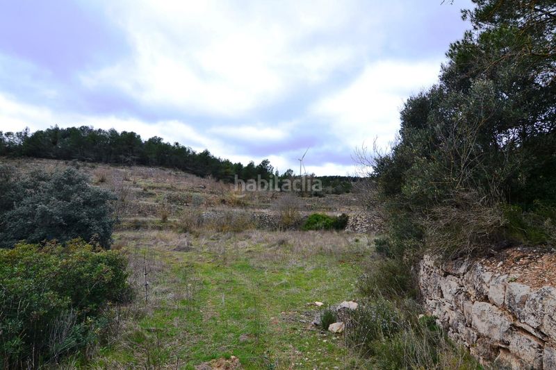 Foto c149193c-8df2-4b09-ac92-3f4fb53d1e9f. Finca rústica a Vilalba dels Arcs