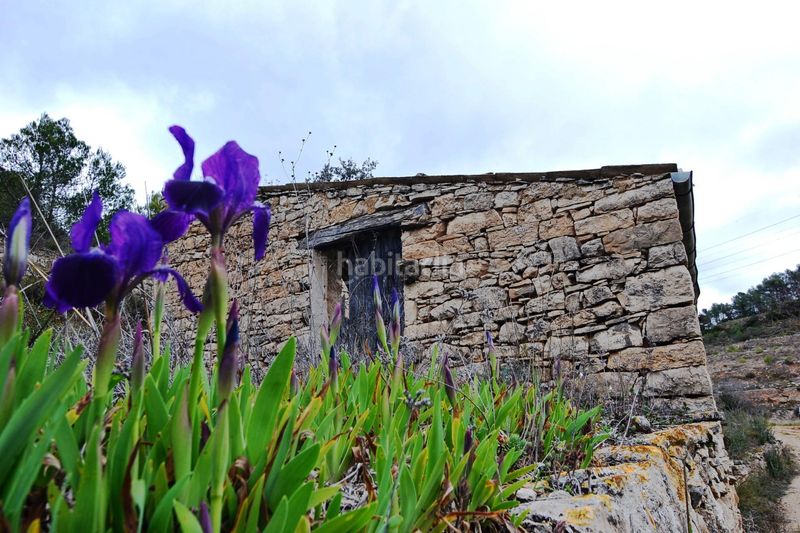 Foto ca816c74-3580-4f52-a166-0f356d3ebd84. Finca rústica a Vilalba dels Arcs