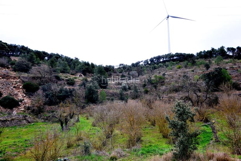 Foto d804a7a6-1a28-48f4-b124-81b1b20c2737. Finca rústica a Vilalba dels Arcs
