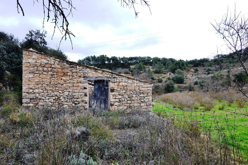 Foto db897ae2-bffa-4321-b7f1-2b66825642f7. Finca rústica a Vilalba dels Arcs