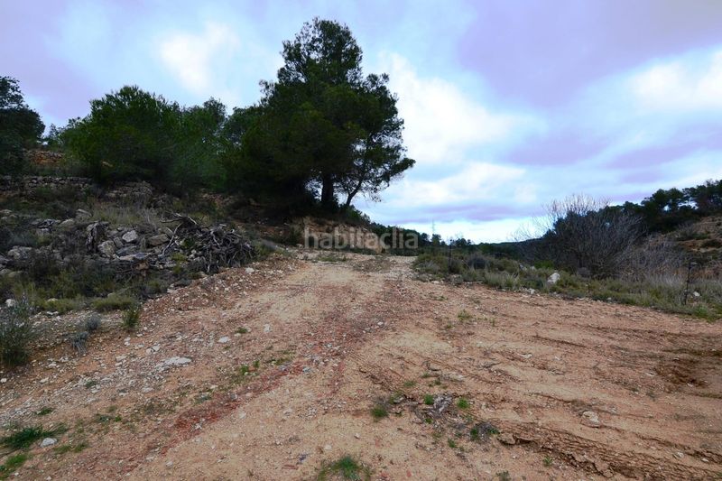 Foto f6e2a8ac-7e4f-4b2c-b333-b3143caee4d6. Finca rústica a Vilalba dels Arcs
