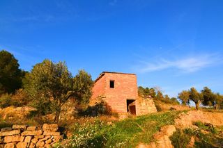 Finca rústica a Corbera d´Ebre. Oportunidad finca de regadio con masia de dos plantas en corbera