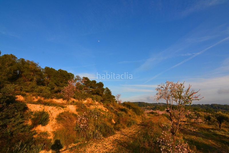Foto 2f12b250-611e-4e4d-9b22-6352cdcd47ea. Finca rústica a Corbera d´Ebre