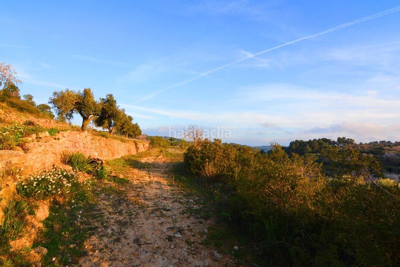 Foto 307bd6a9-0eee-4f8c-b7ef-8dcdfb242bd2. Finca rústica a Corbera d´Ebre