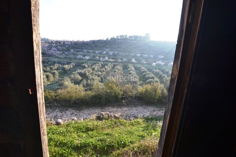 Foto 309a4d8a-d109-46ae-9cb9-f7a38e5992a8. Finca rústica a Corbera d´Ebre