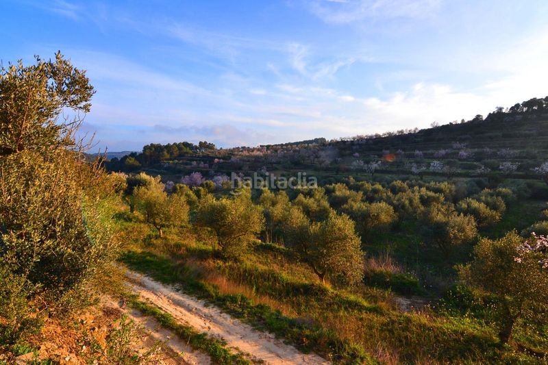 Foto 335ce653-2919-4b0f-9a40-dd05137aadd2. Finca rústica a Corbera d´Ebre