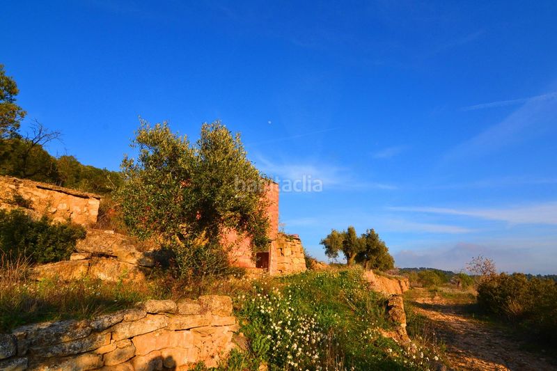 Foto 35159665-a5f4-4eb6-a965-d99dd9e2d250. Finca rústica a Corbera d´Ebre