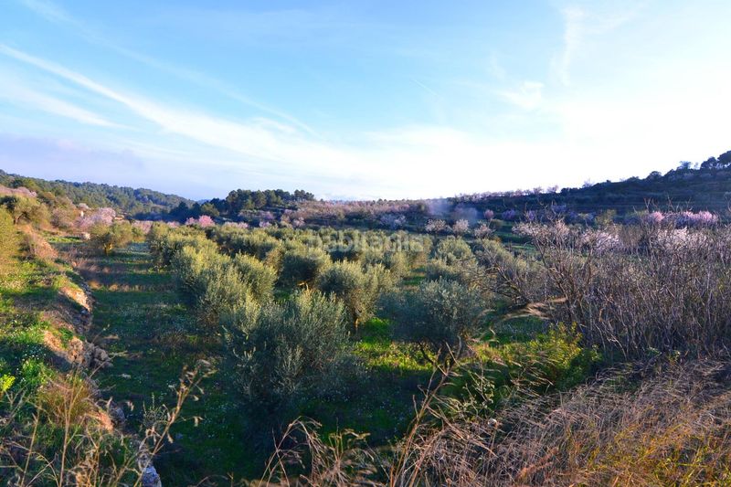 Foto 3546924d-cc7f-4a4b-9e9c-99d1a73d28e1. Finca rústica a Corbera d´Ebre