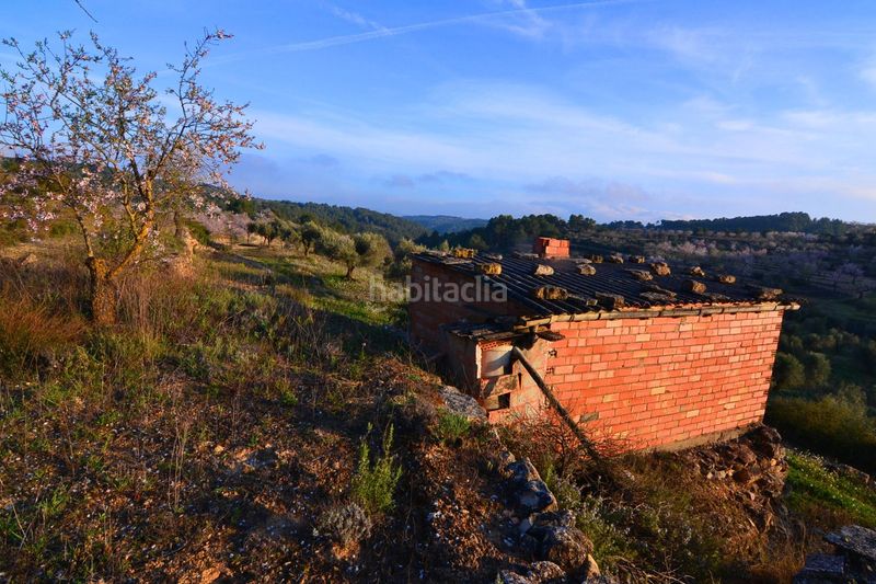 Foto 3839af20-5150-41fd-b584-c801eb67b5c8. Finca rústica a Corbera d´Ebre