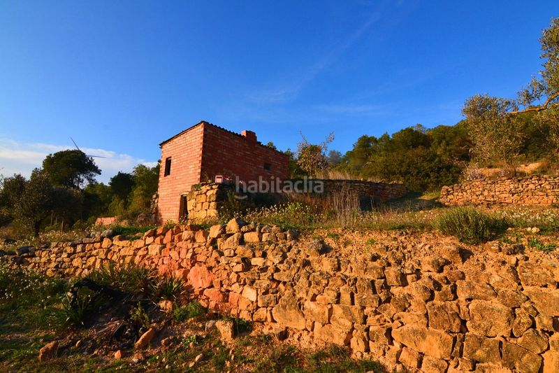 Foto 3bf02d6d-99e4-45c8-8f2a-6415a873d1a4. Finca rústica a Corbera d´Ebre