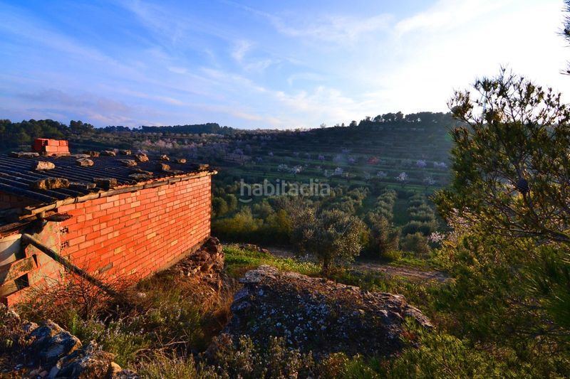 Foto 41a160e4-6fc3-4823-8b70-0f5ca8b1215f. Finca rústica a Corbera d´Ebre