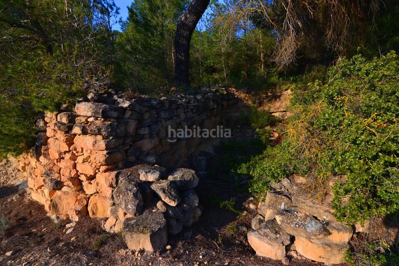 Foto 4cbe63f8-30a6-4f9d-84de-526c2f82c362. Finca rústica a Corbera d´Ebre