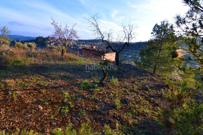 Foto 55c1100b-8880-48a0-b3d8-48c47016eb1c. Finca rústica a Corbera d´Ebre