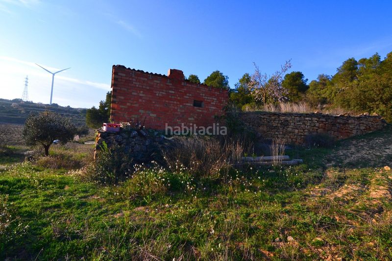 Foto 5d64075f-81e2-480a-87f4-790b38983bb1. Finca rústica a Corbera d´Ebre