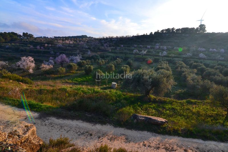 Foto 6380c444-57f5-4bd8-b1d6-6a290ee64a99. Finca rústica a Corbera d´Ebre