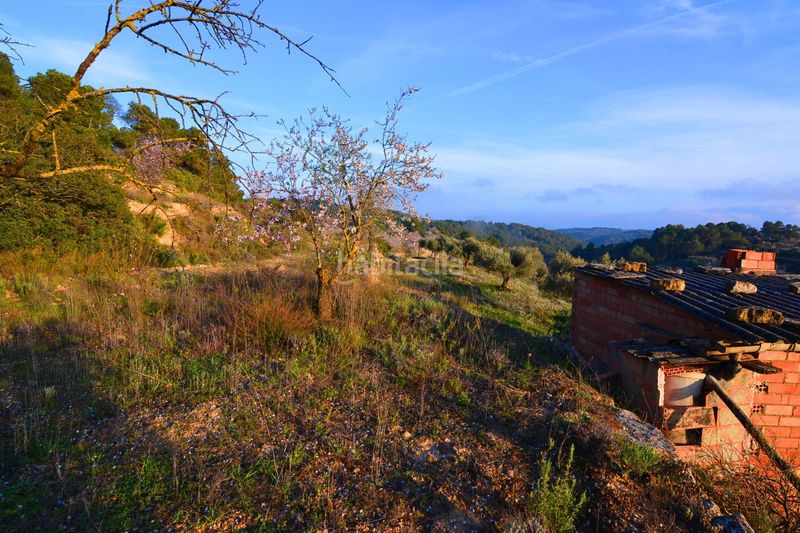 Foto 63933eb0-a8a9-4647-903b-ba599053cf6c. Finca rústica a Corbera d´Ebre