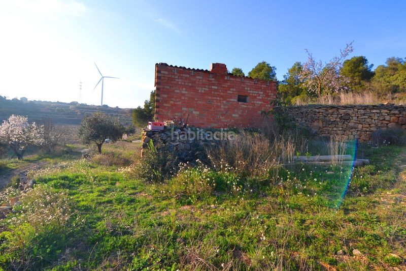 Foto 6f5243b4-28cb-44b1-93c8-a5b4c613149a. Finca rústica a Corbera d´Ebre