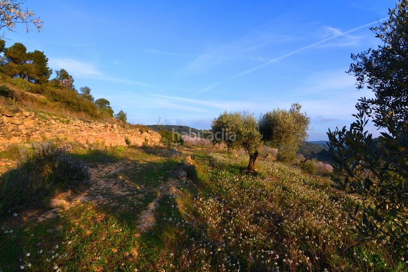 Foto 70acd35e-0a25-438c-bc66-0e59a6a6a90e. Finca rústica a Corbera d´Ebre