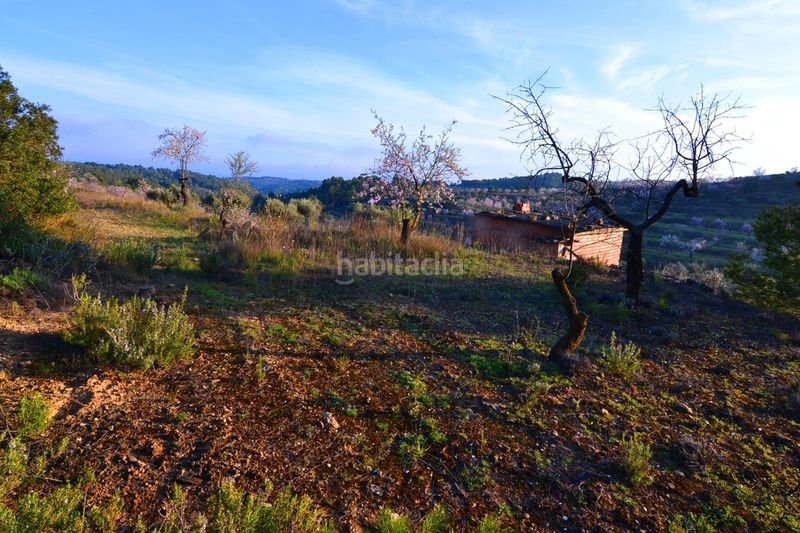 Foto 714628de-5901-4e6c-8340-e462a5a794ba. Finca rústica a Corbera d´Ebre