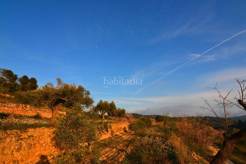 Foto 802fb0a6-4ebf-4e91-ac71-2f9379f81526. Finca rústica a Corbera d´Ebre