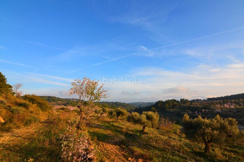 Foto 8f2622ba-e565-4608-a0c7-1f6b81478454. Finca rústica a Corbera d´Ebre