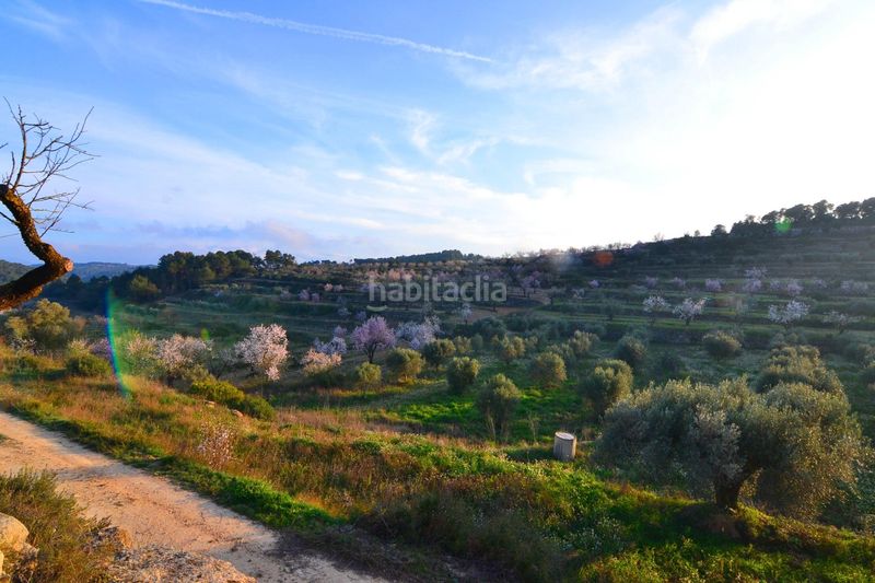 Foto 965d90c1-c3c7-411e-ba37-6217ab3e7d0e. Finca rústica a Corbera d´Ebre