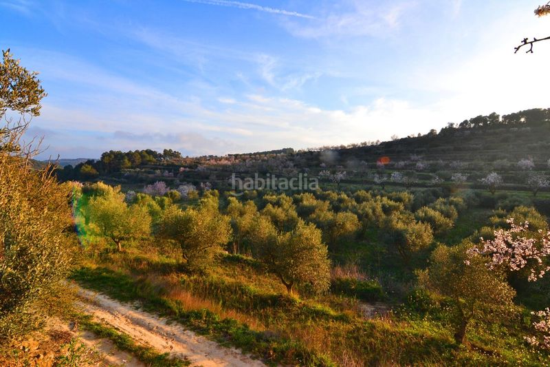 Foto a2aa70cc-364b-49e7-898c-378da8c2e00d. Finca rústica a Corbera d´Ebre