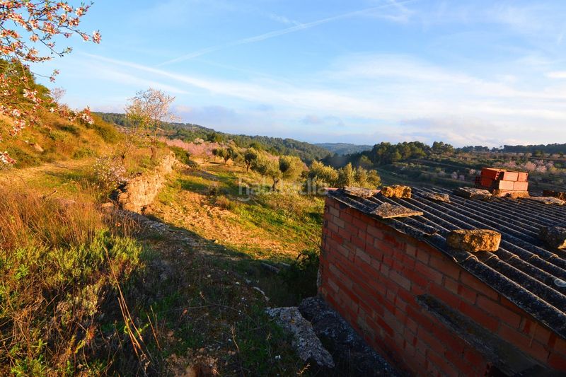 Foto a607ccdf-1518-436d-9445-362208a7fae9. Finca rústica a Corbera d´Ebre
