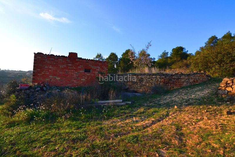 Foto a67df977-43a3-45d8-a11a-e6e32732f4a1. Finca rústica a Corbera d´Ebre