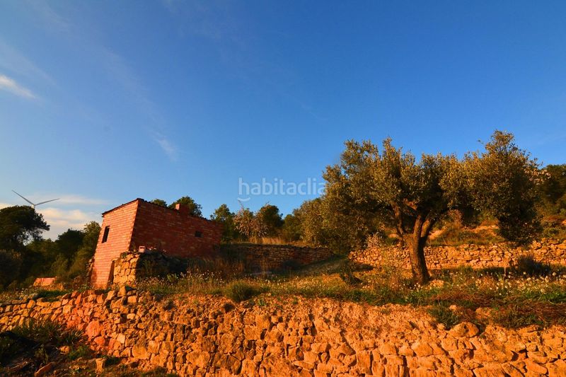 Foto a862c088-0e23-4788-83f7-eb299e586d6e. Finca rústica a Corbera d´Ebre