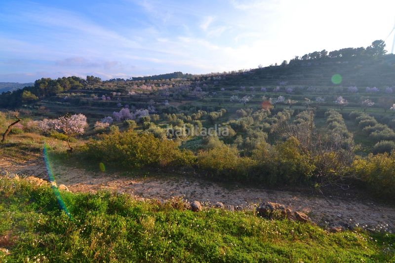 Foto ac298e2b-fcb6-47b4-a8cc-8b7161a33e79. Finca rústica a Corbera d´Ebre