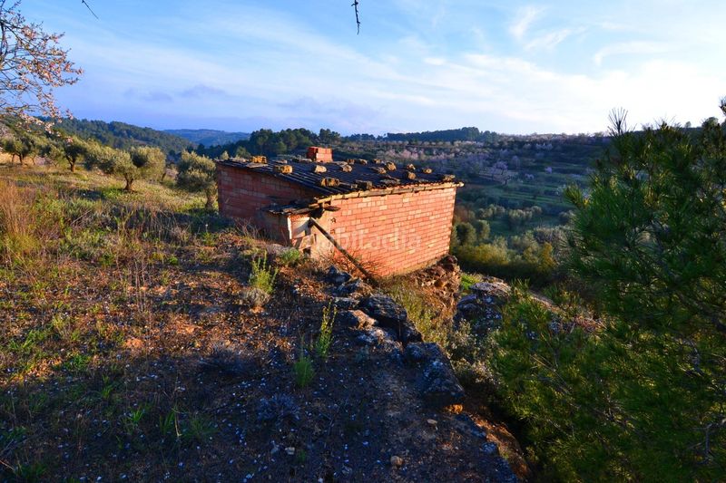 Foto adbbd72f-fd7f-4dd7-b69c-cb308b741164. Finca rústica a Corbera d´Ebre