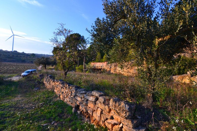Foto b1e30d61-52c4-4c12-9700-98aae1670574. Finca rústica a Corbera d´Ebre