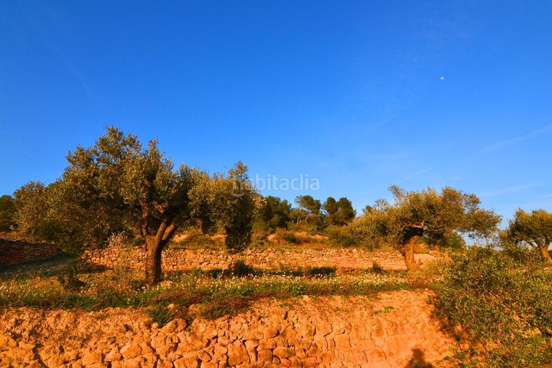 Foto bf74b0f0-7e6f-4e61-9647-4bc4920d98e3. Finca rústica a Corbera d´Ebre