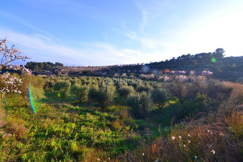 Foto c2b17268-c9dc-4122-ab73-1492a2ea5348. Finca rústica a Corbera d´Ebre