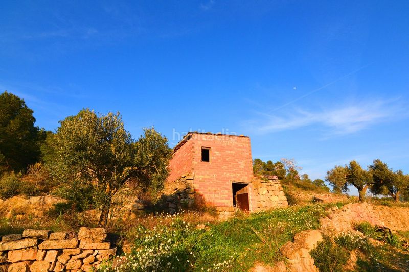 Foto c40458df-5fb2-440b-b4e4-1030ce52075a. Finca rústica a Corbera d´Ebre