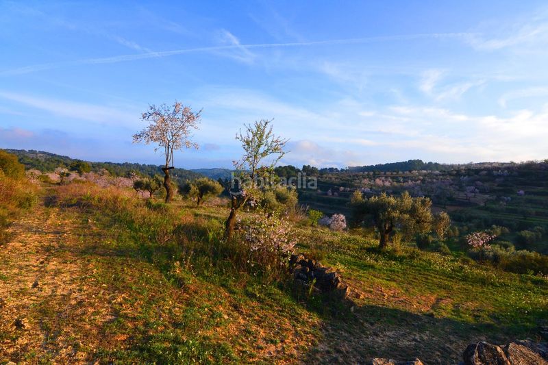 Foto ca54ebf9-32e3-4b67-9b34-f9d83bb6f578. Finca rústica a Corbera d´Ebre
