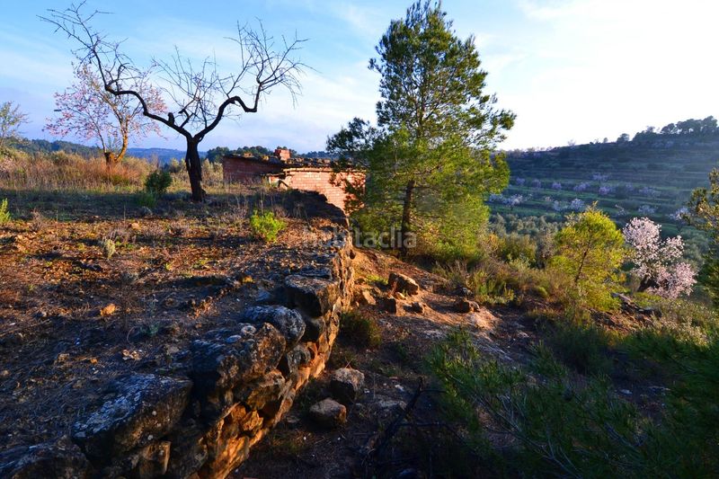 Foto d67c0d7d-5c64-4e86-a73a-30c0f52bf42c. Finca rústica a Corbera d´Ebre