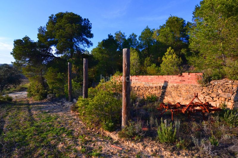 Foto e1a6ea91-e37a-4eb4-93c6-3180373cf7c4. Finca rústica a Corbera d´Ebre