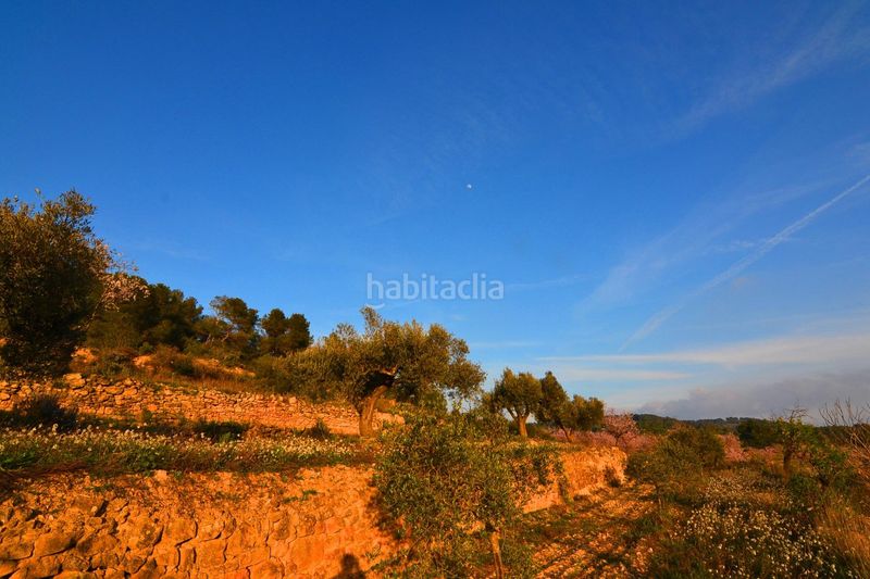 Foto eeb3bfaa-709e-4c22-9d00-a672c02d48ff. Finca rústica a Corbera d´Ebre