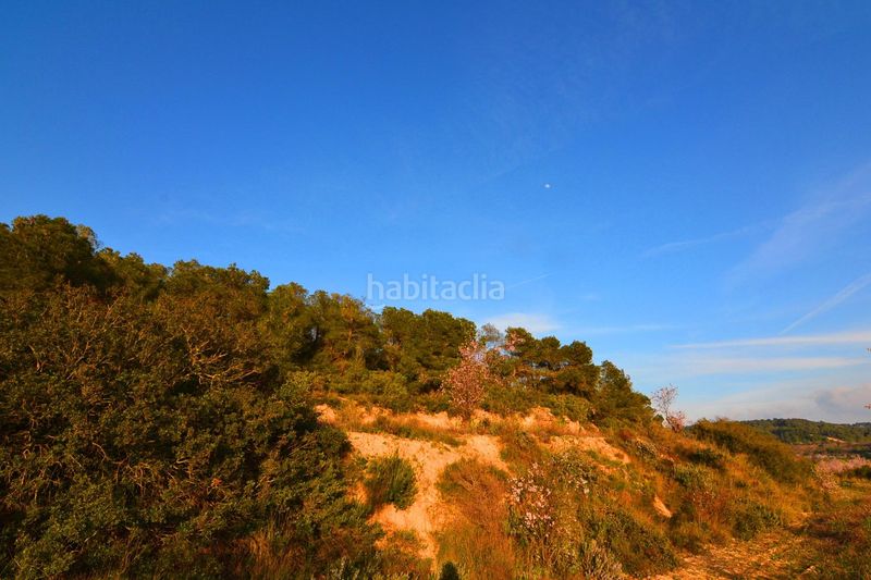 Foto f5f847b3-ebaf-4679-ab11-cbacc9d99077. Finca rústica a Corbera d´Ebre