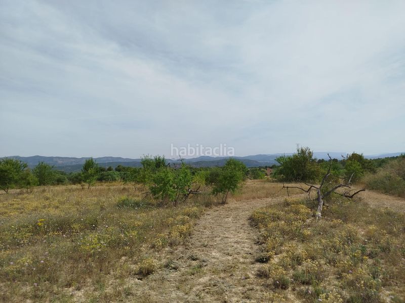 Foto 8aed4780-15e9-490f-9990-2726cd06d305. Finca rústica a Garcia