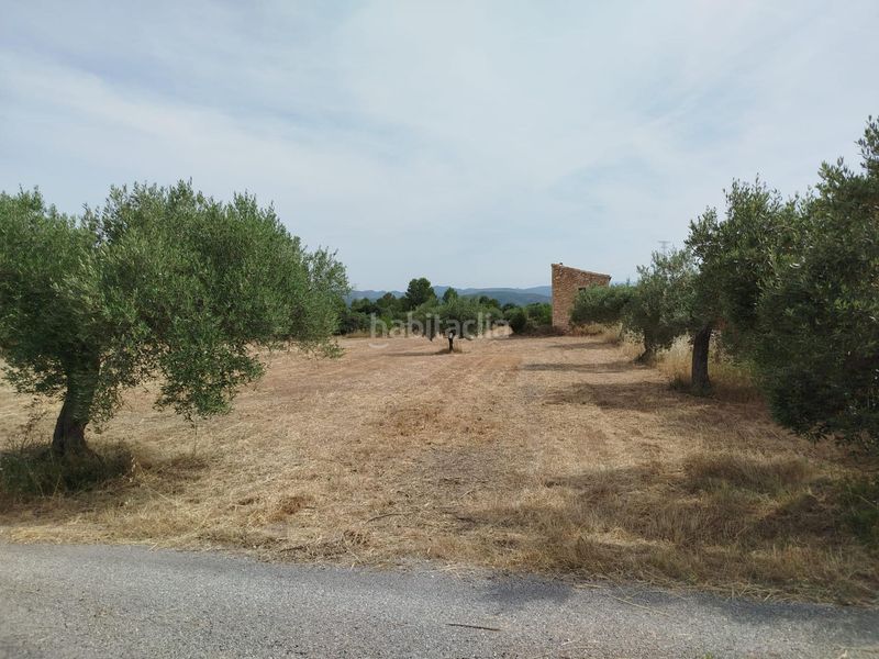 Foto 8fc4c9ff-eac8-4cbb-909e-9eb910cb1b3c. Finca rústica a Garcia