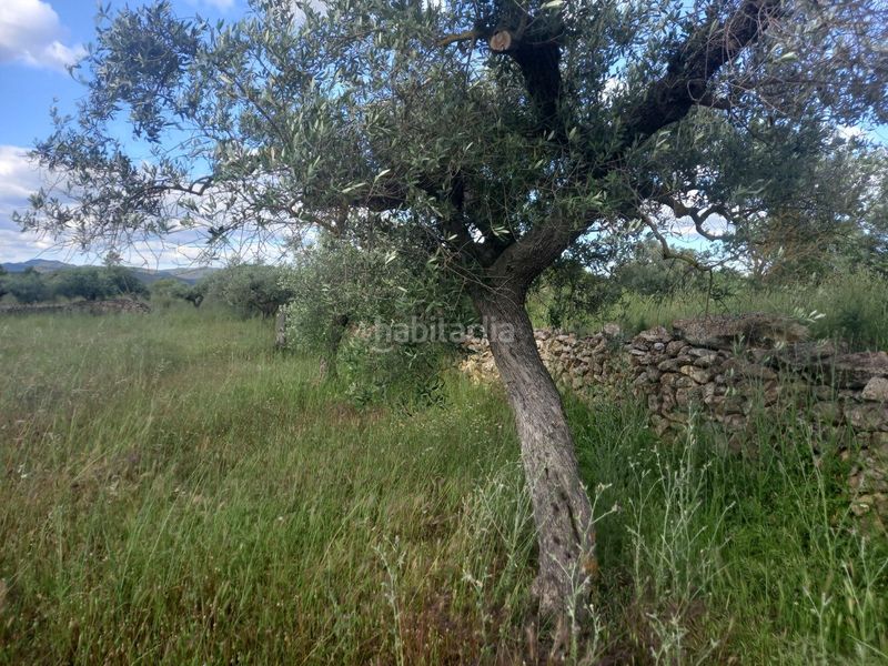 Foto 923172c8-413c-4902-b1c9-6c7be41f1b7d. Finca rústica a Garcia
