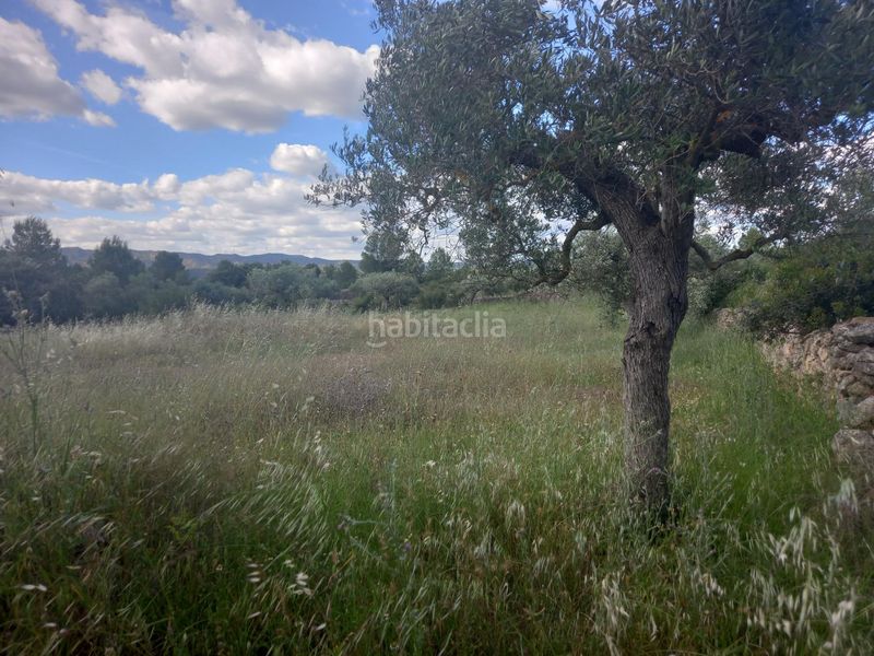 Foto a38e9f81-9940-46e8-8b1d-b8419262175c. Finca rústica a Garcia
