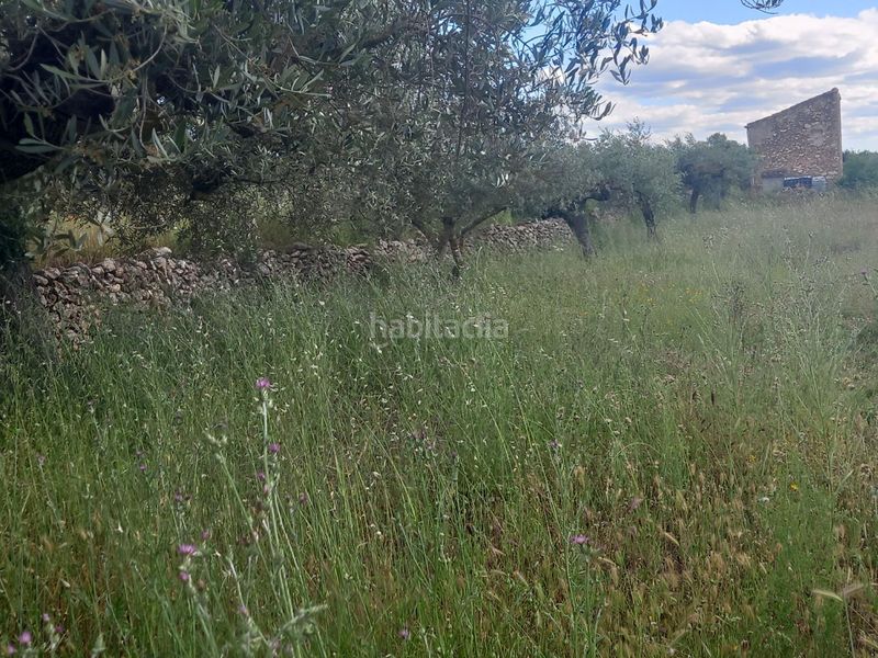 Foto e109b0e9-bc7c-40dd-b6db-5c50d6a5f8c9. Finca rústica a Garcia