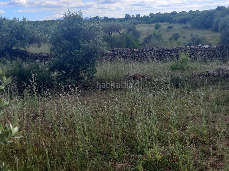 Foto f4a90dc8-7316-49a4-b860-8593a1fd672f. Finca rústica a Garcia