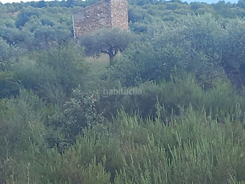 Foto f9fabc0b-c1fd-4b99-a9fc-d953692fb9f8. Finca rústica a Garcia