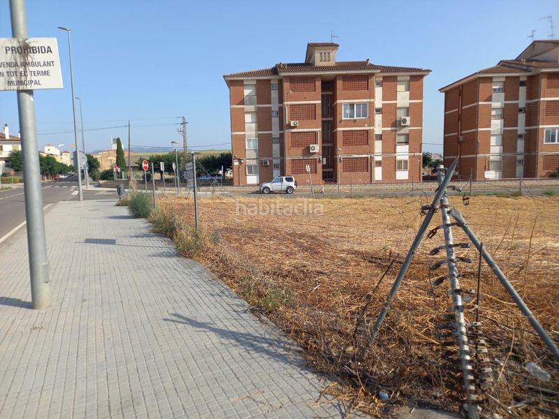 Foto 58f2033d-f140-4b63-814d-7c2bf8f45253. Terreny residencial a Móra la Nova