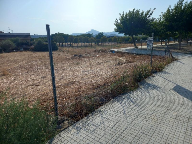 Foto d67b8c34-7771-4c79-a5e0-eb135eddfa99. Terreny residencial a Móra la Nova